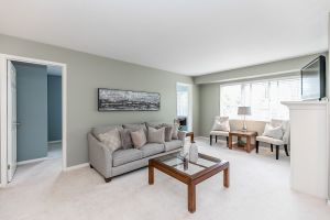 200-250 Robert Street, Shelburne, Ontario