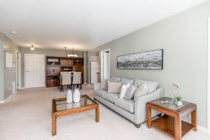 200-250 Robert Street, Shelburne, Ontario